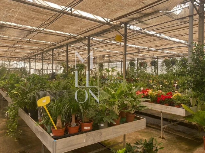 Terreno para Venda em Lagoa e Carvoeiro Foto 18