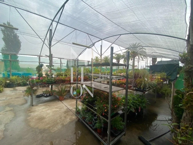 Terreno para Venda em Lagoa e Carvoeiro Foto 37