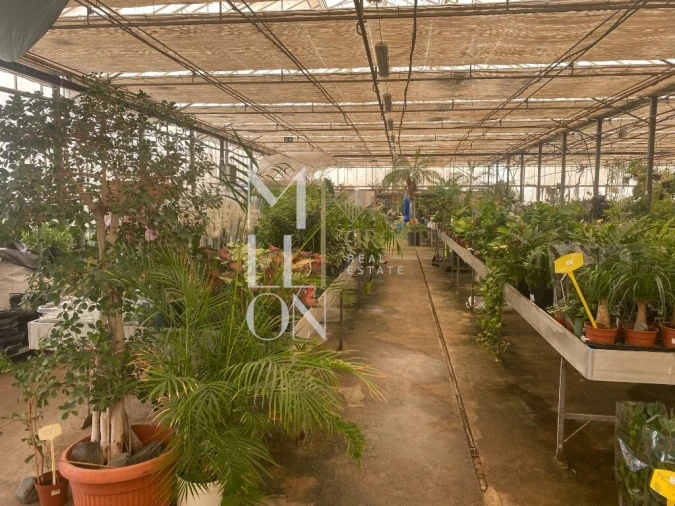 Terreno para Venda em Lagoa e Carvoeiro Foto 17