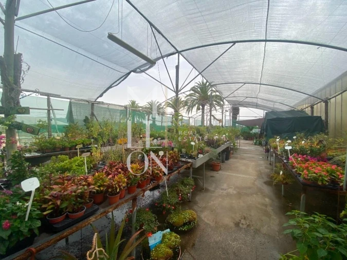 Terreno para Venda em Lagoa e Carvoeiro Foto 38