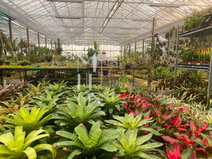 Terreno para Venda em Lagoa e Carvoeiro Foto 11