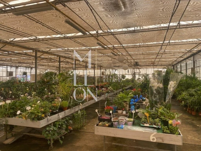 Terreno para Venda em Lagoa e Carvoeiro Foto 21