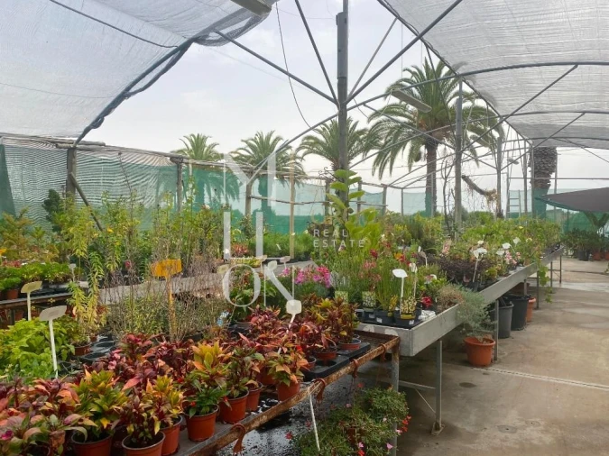 Terreno para Venda em Lagoa e Carvoeiro Foto 39