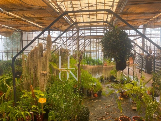 Terreno para Venda em Lagoa e Carvoeiro Foto 5