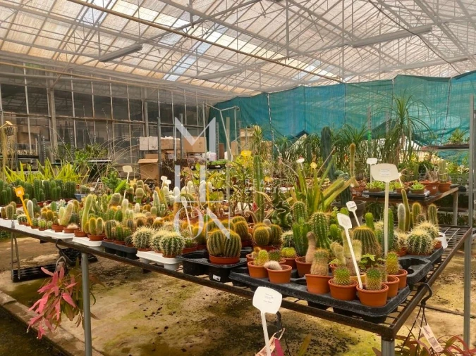 Terreno para Venda em Lagoa e Carvoeiro Foto 14