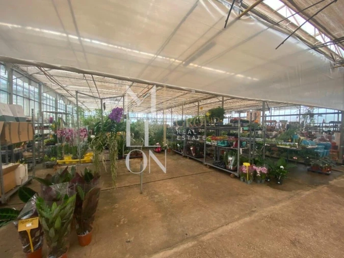 Terreno para Venda em Lagoa e Carvoeiro Foto 29