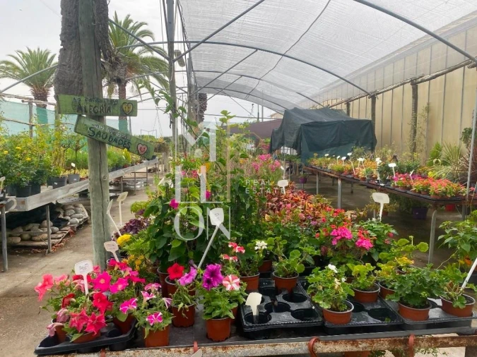 Terreno para Venda em Lagoa e Carvoeiro Foto 40