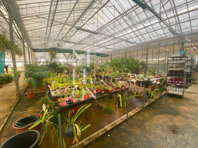 Terreno para Venda em Lagoa e Carvoeiro Foto 24