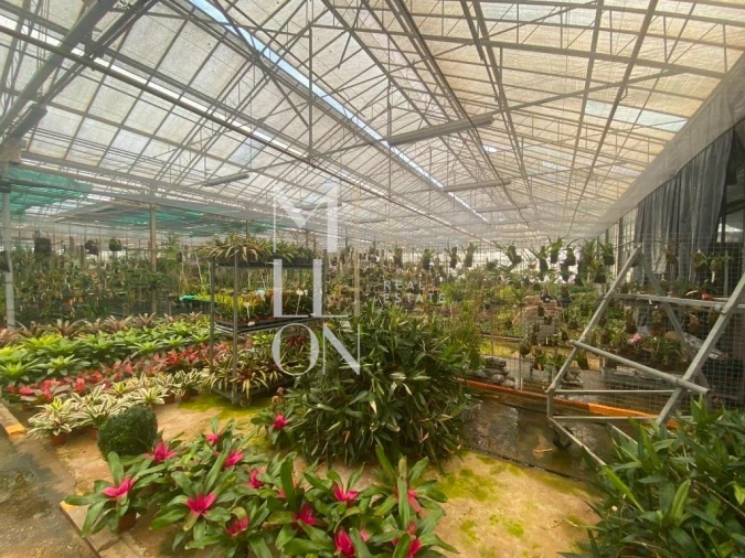 Terreno para Venda em Lagoa e Carvoeiro Foto 9