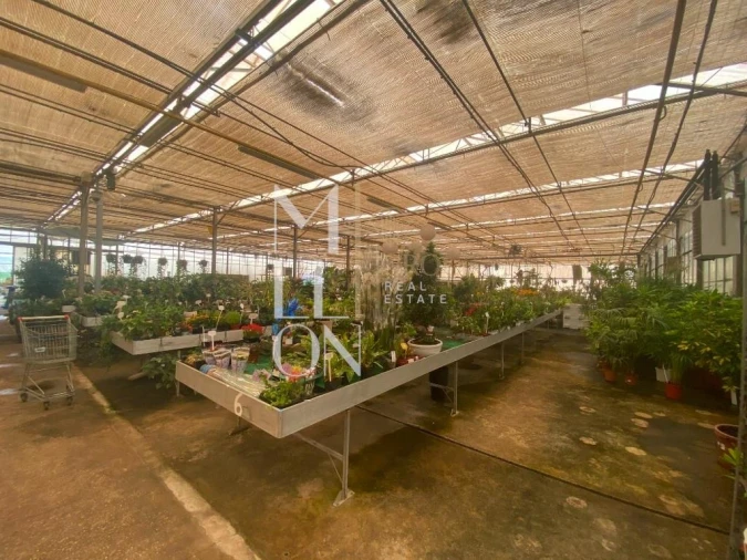 Terreno para Venda em Lagoa e Carvoeiro Foto 26