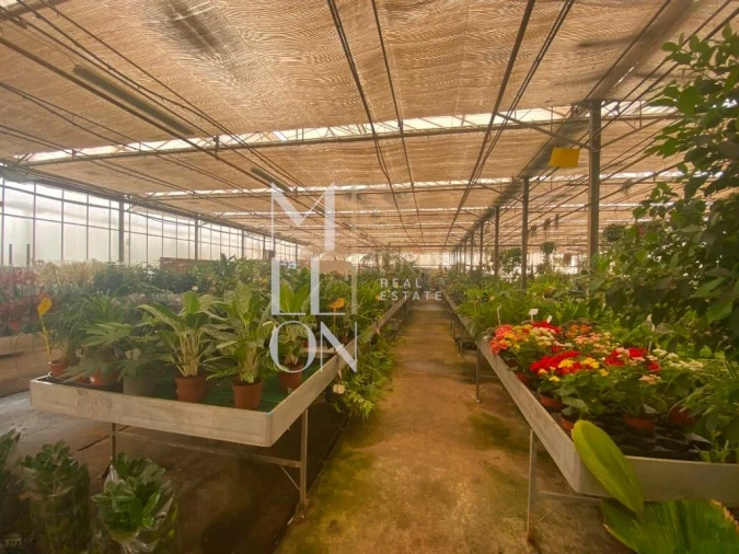 Terreno para Venda em Lagoa e Carvoeiro Foto 33