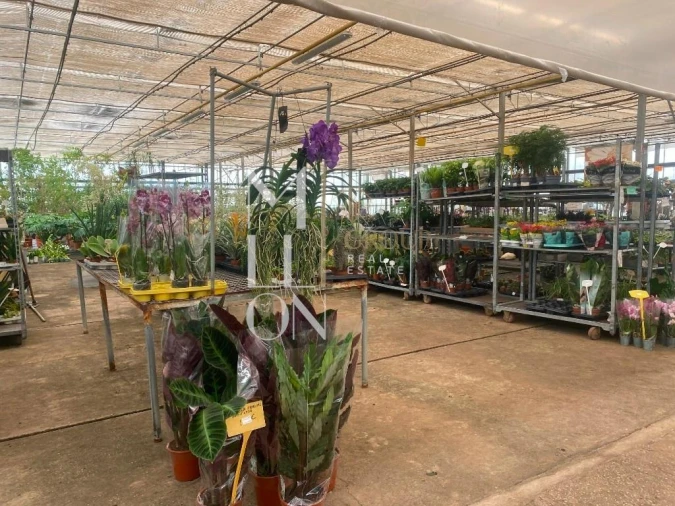 Terreno para Venda em Lagoa e Carvoeiro Foto 28