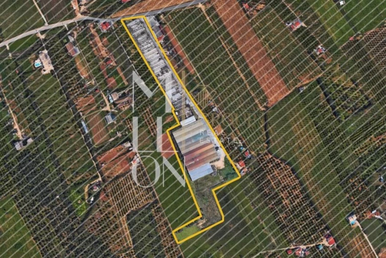 Terreno para Venda em Lagoa e Carvoeiro Foto 2