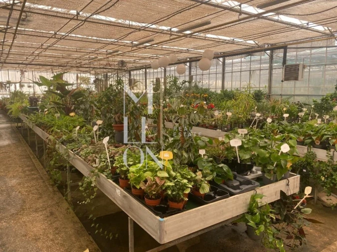 Terreno para Venda em Lagoa e Carvoeiro Foto 19