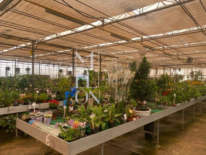 Terreno para Venda em Lagoa e Carvoeiro Foto 27