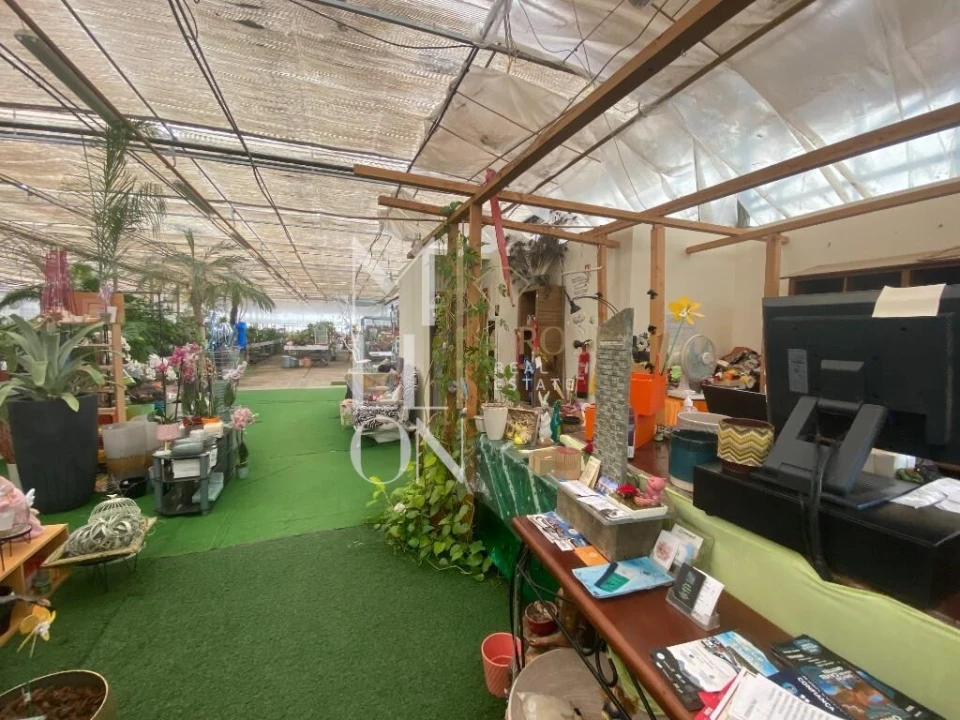 Terreno para Venda em Lagoa e Carvoeiro Foto 50