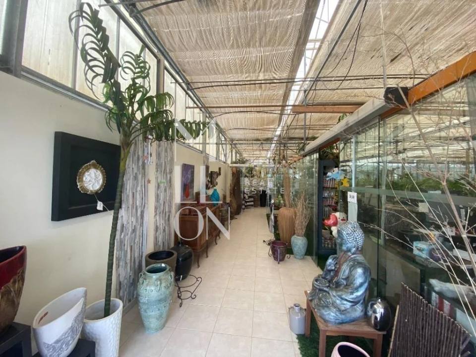 Terreno para Venda em Lagoa e Carvoeiro Foto 44