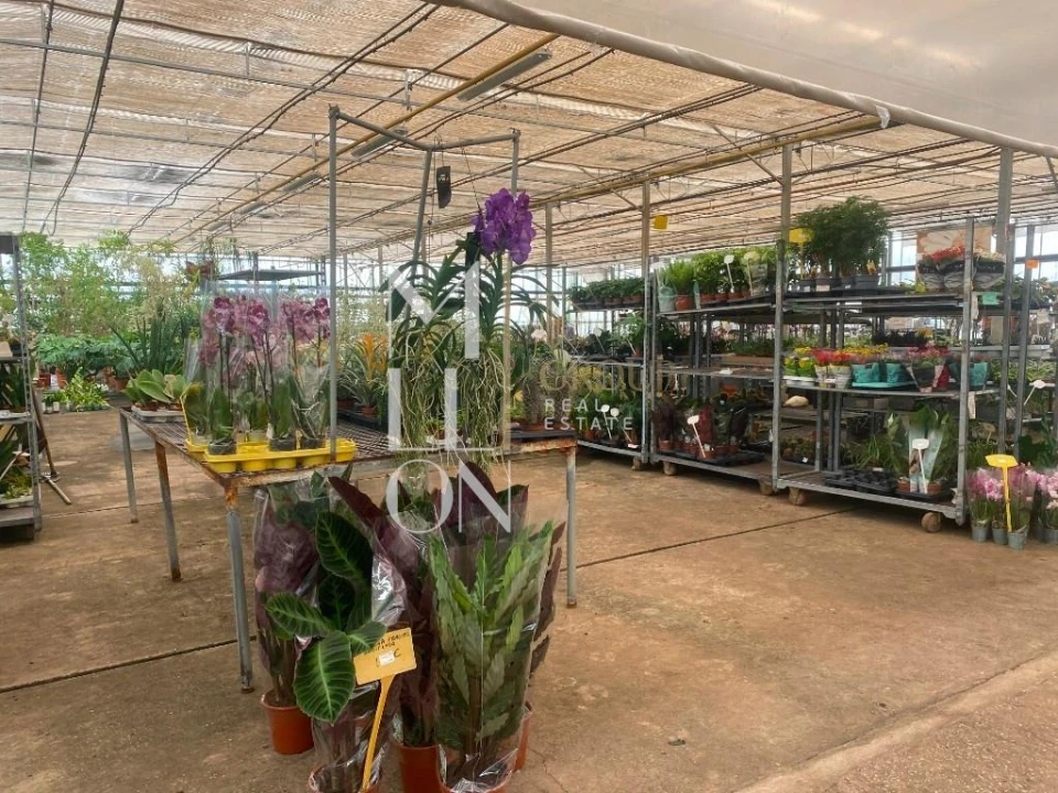 Terreno para Venda em Lagoa e Carvoeiro Foto 28