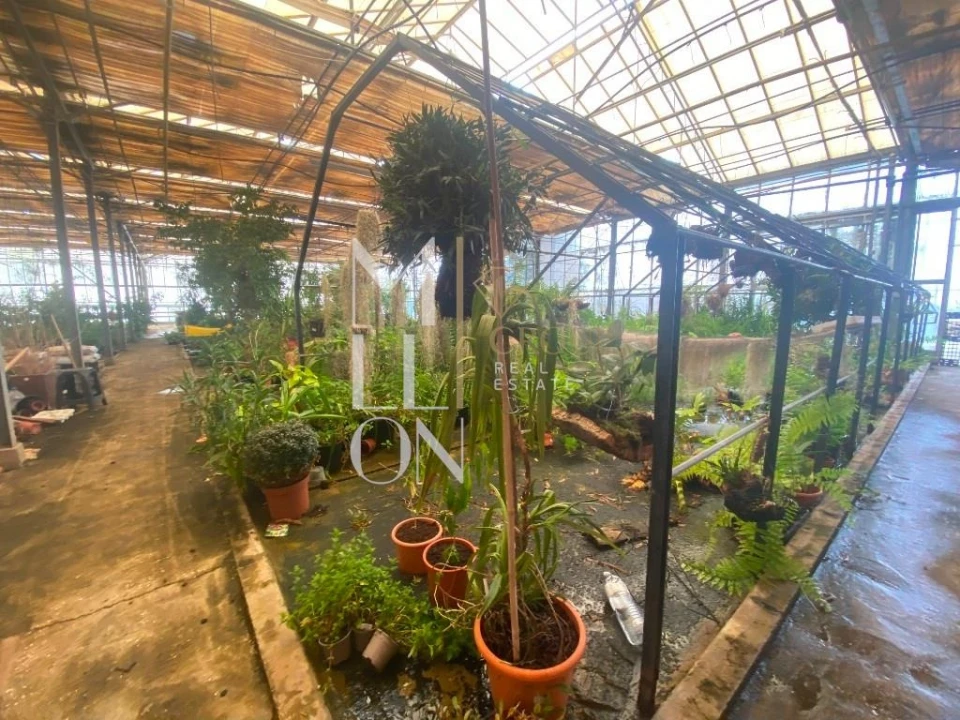 Terreno para Venda em Lagoa e Carvoeiro Foto 4