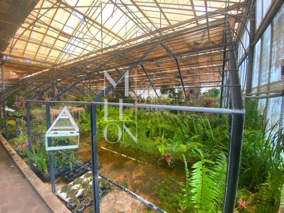 Terreno para Venda em Lagoa e Carvoeiro Foto 3