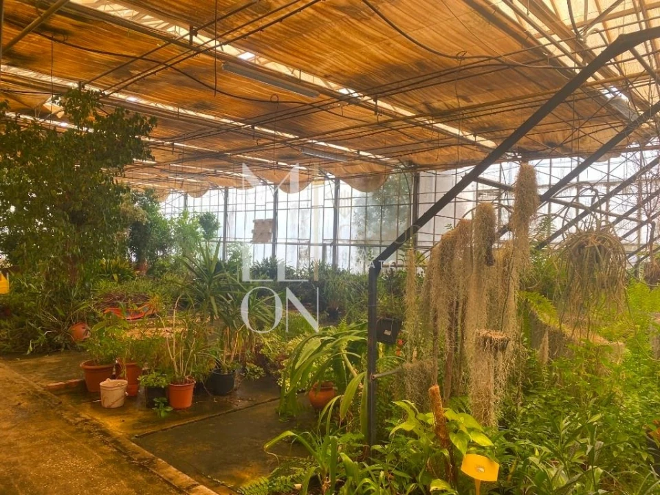 Terreno para Venda em Lagoa e Carvoeiro Foto 6