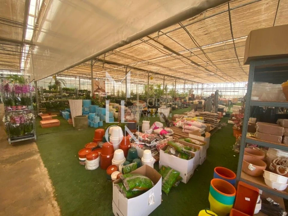 Terreno para Venda em Lagoa e Carvoeiro Foto 35