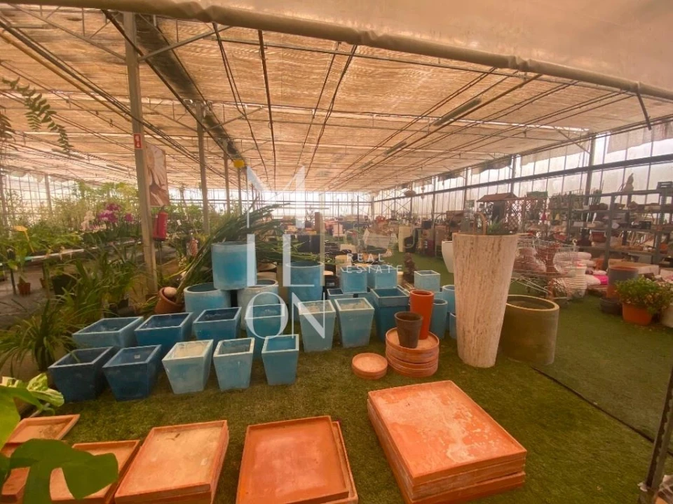 Terreno para Venda em Lagoa e Carvoeiro Foto 32