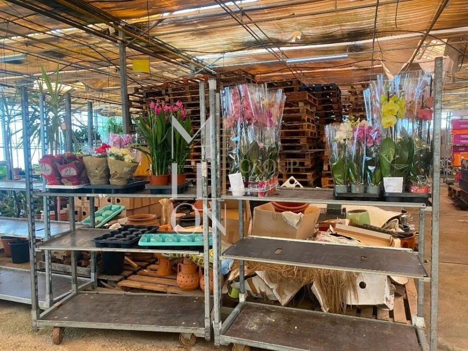 Terreno para Venda em Lagoa e Carvoeiro Foto 7