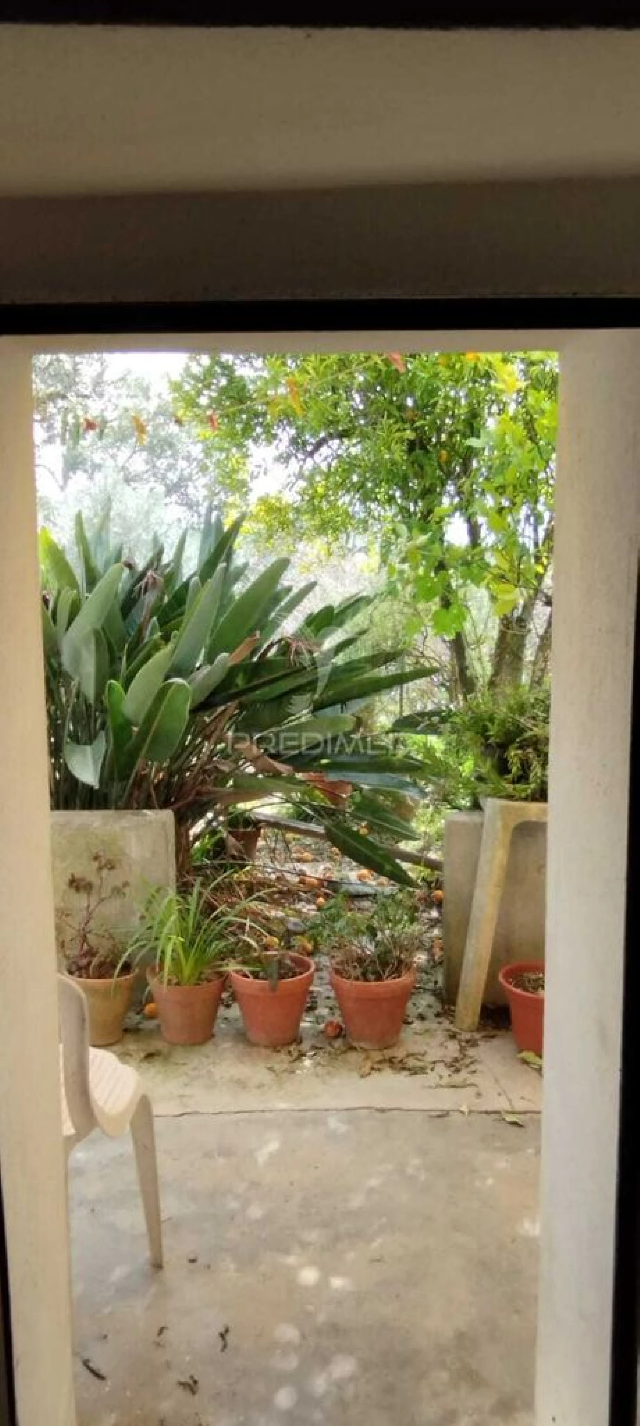 Quinta T4 para Venda em São Salvador da Aramenha Foto 20