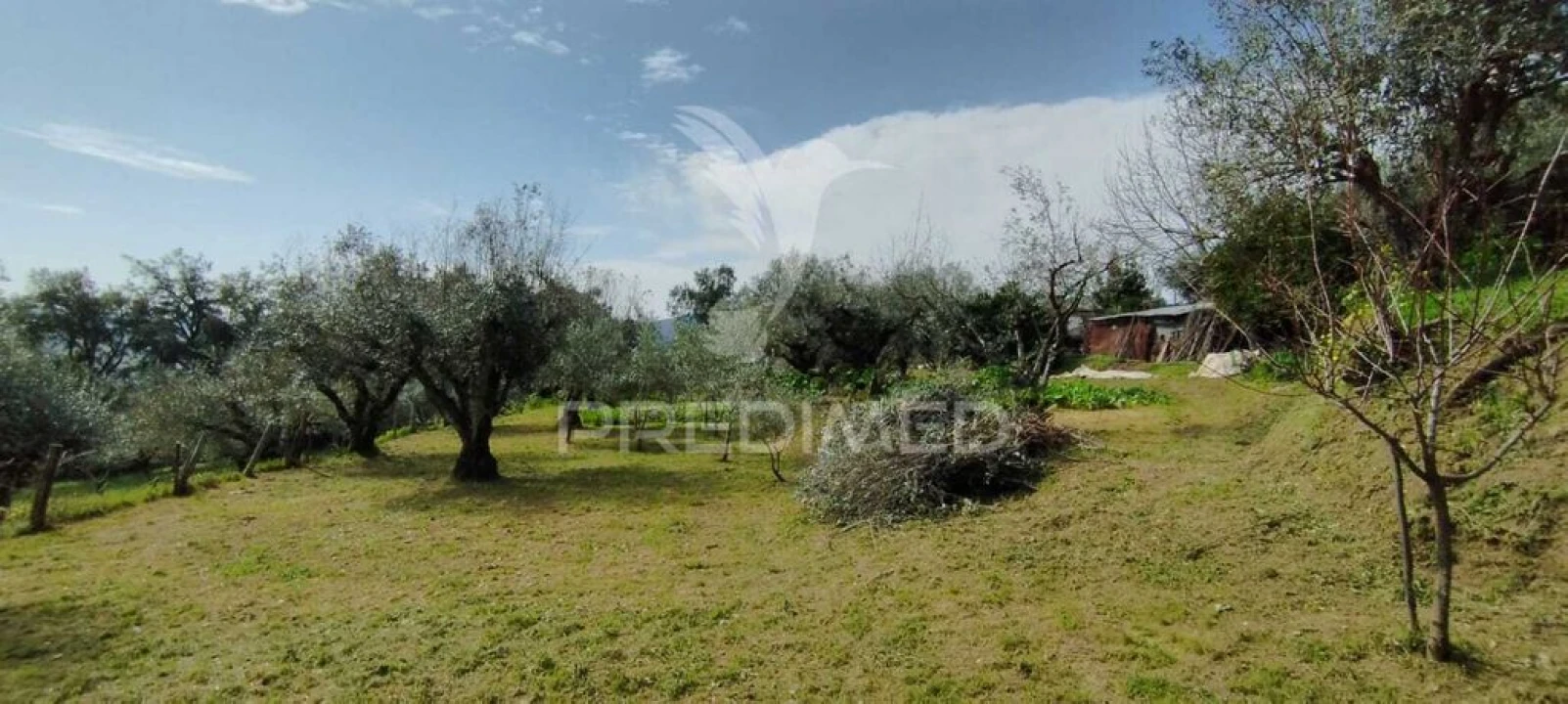 Quinta T4 para Venda em São Salvador da Aramenha Foto 11