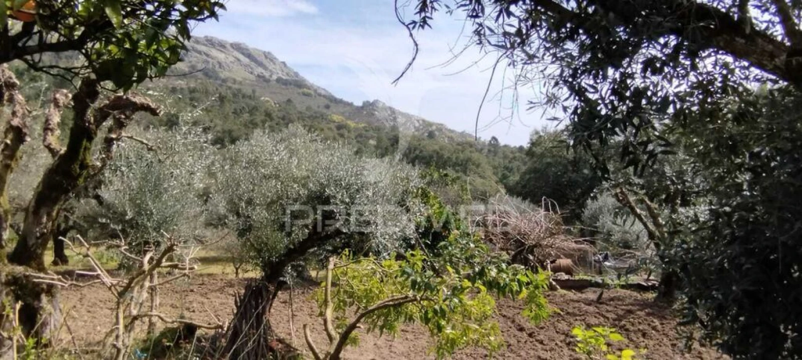 Quinta T4 para Venda em São Salvador da Aramenha Foto 17