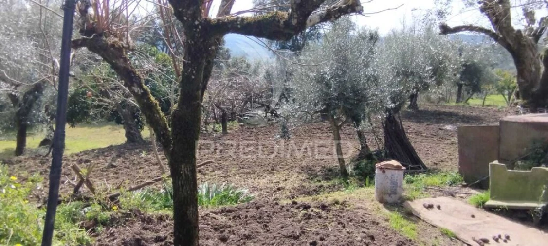 Quinta T4 para Venda em São Salvador da Aramenha Foto 19
