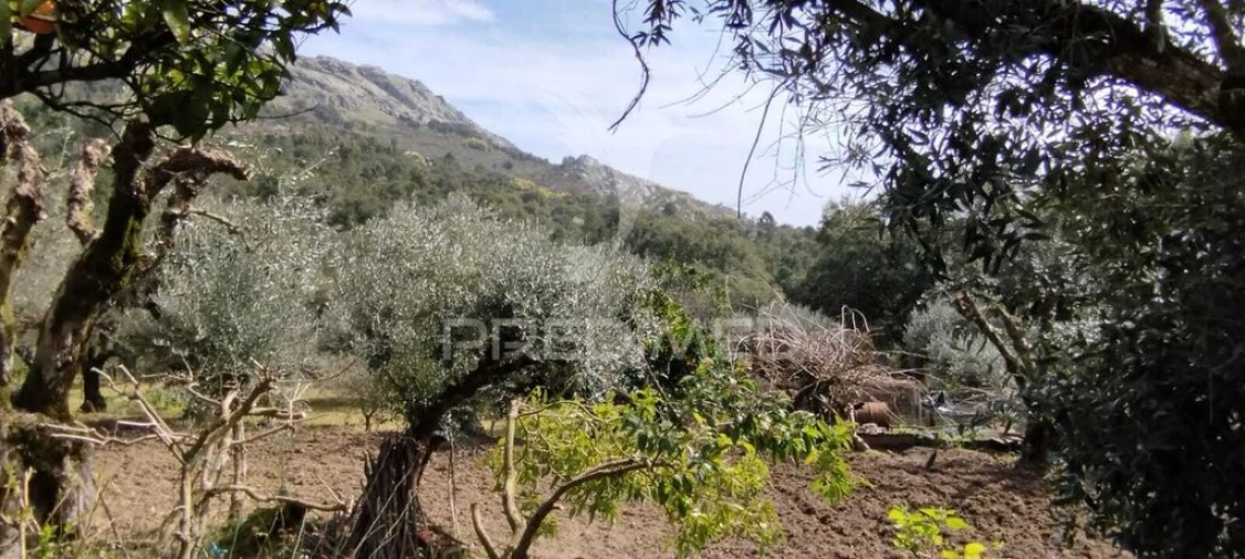 Quinta T4 para Venda em São Salvador da Aramenha Foto 17