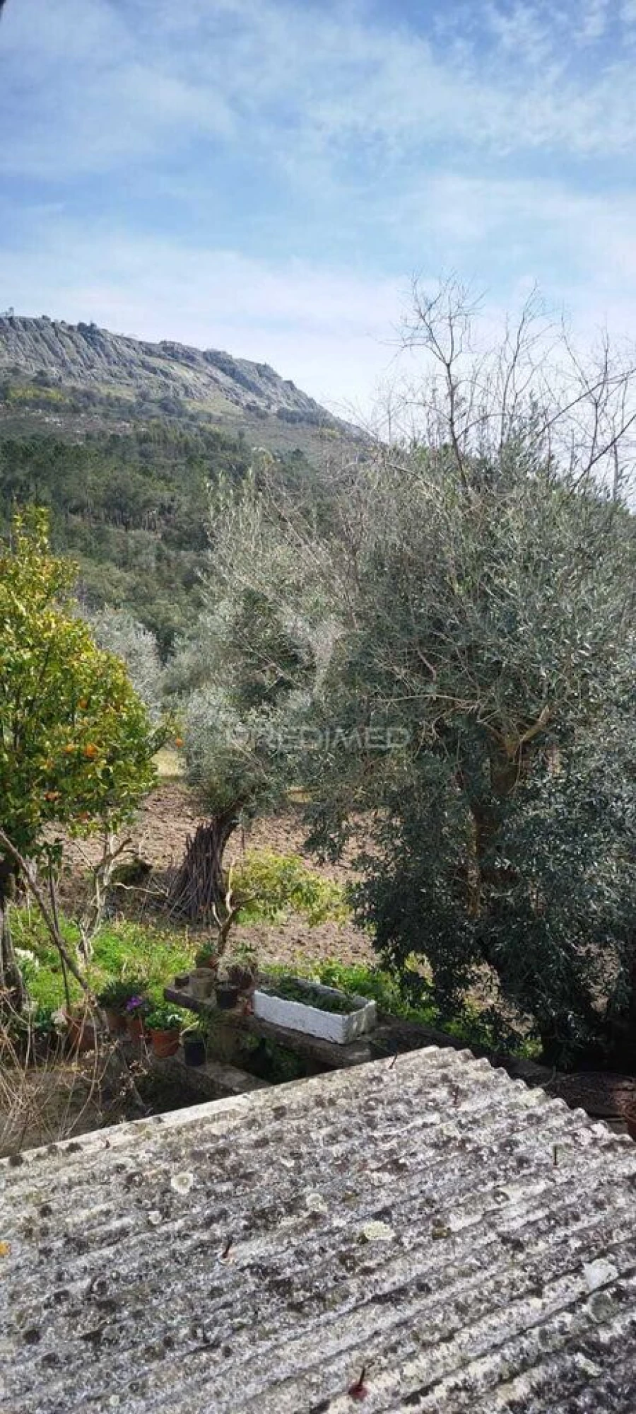 Quinta T4 para Venda em São Salvador da Aramenha Foto 6