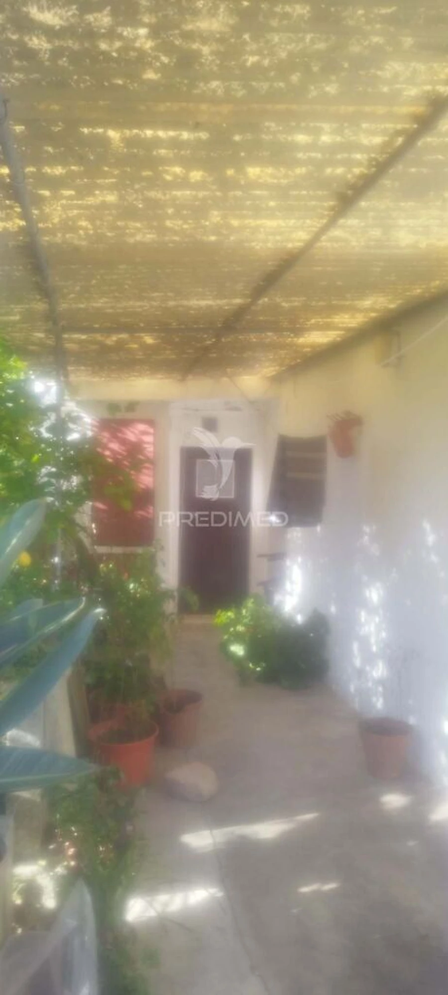 Quinta T4 para Venda em São Salvador da Aramenha Foto 15