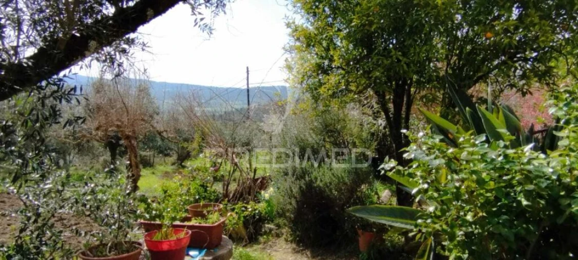 Quinta T4 para Venda em São Salvador da Aramenha Foto 18