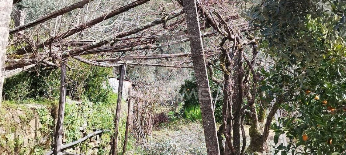 Quinta T4 para Venda em São Salvador da Aramenha Foto 15