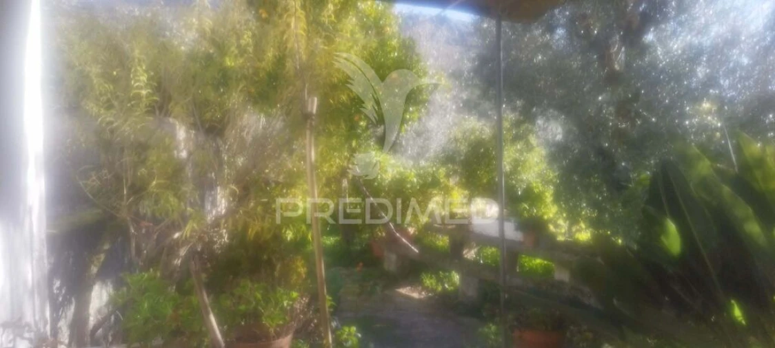 Quinta T4 para Venda em São Salvador da Aramenha Foto 16