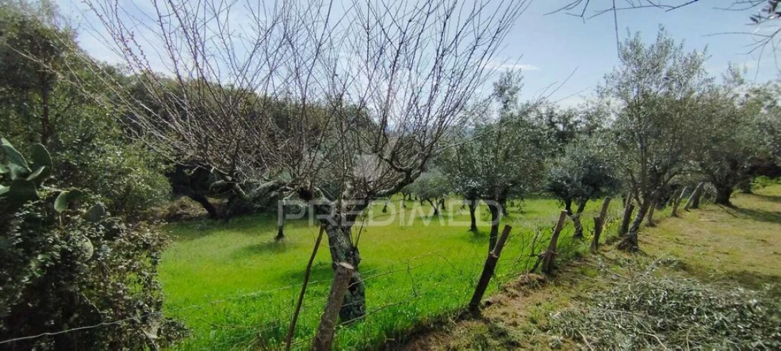 Quinta T4 para Venda em São Salvador da Aramenha Foto 7