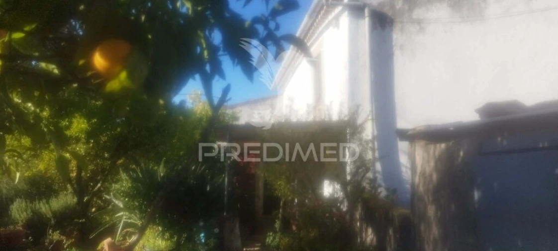 Quinta T4 para Venda em São Salvador da Aramenha Foto 3