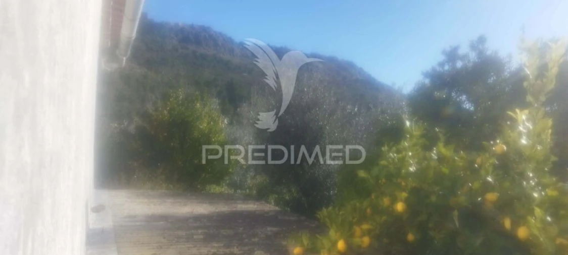 Quinta T4 para Venda em São Salvador da Aramenha Foto 6