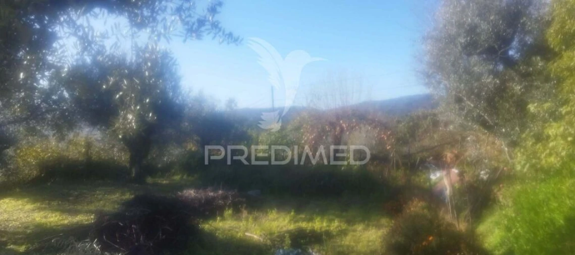 Quinta T4 para Venda em São Salvador da Aramenha Foto 18