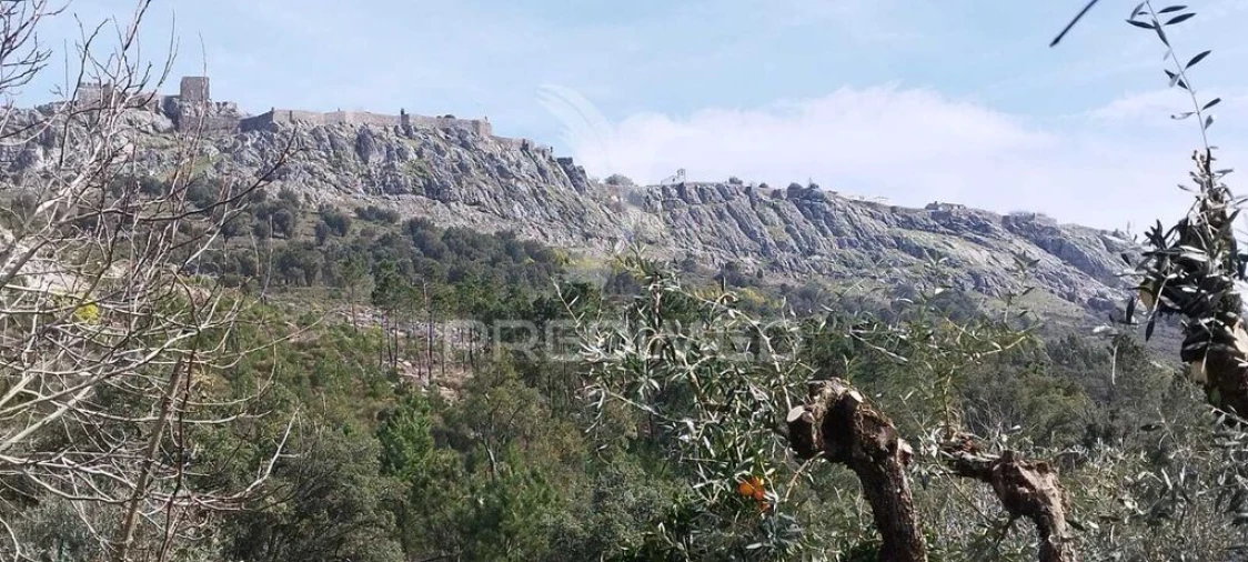 Quinta T4 para Venda em São Salvador da Aramenha Foto 12
