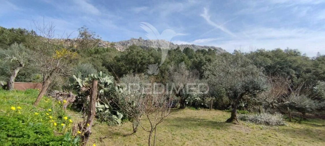 Quinta T4 para Venda em São Salvador da Aramenha Foto 8