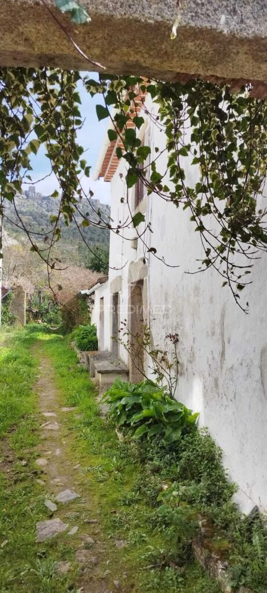 Quinta T4 para Venda em São Salvador da Aramenha Foto 1