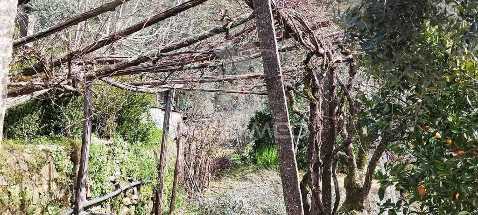 Quinta T4 para Venda em São Salvador da Aramenha Foto 15