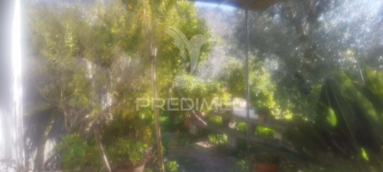 Quinta T4 para Venda em São Salvador da Aramenha Foto 16