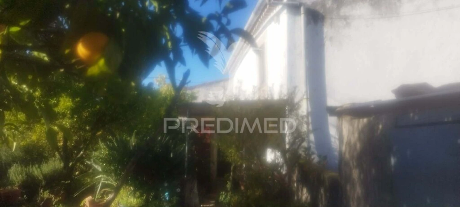 Quinta T4 para Venda em São Salvador da Aramenha Foto 3