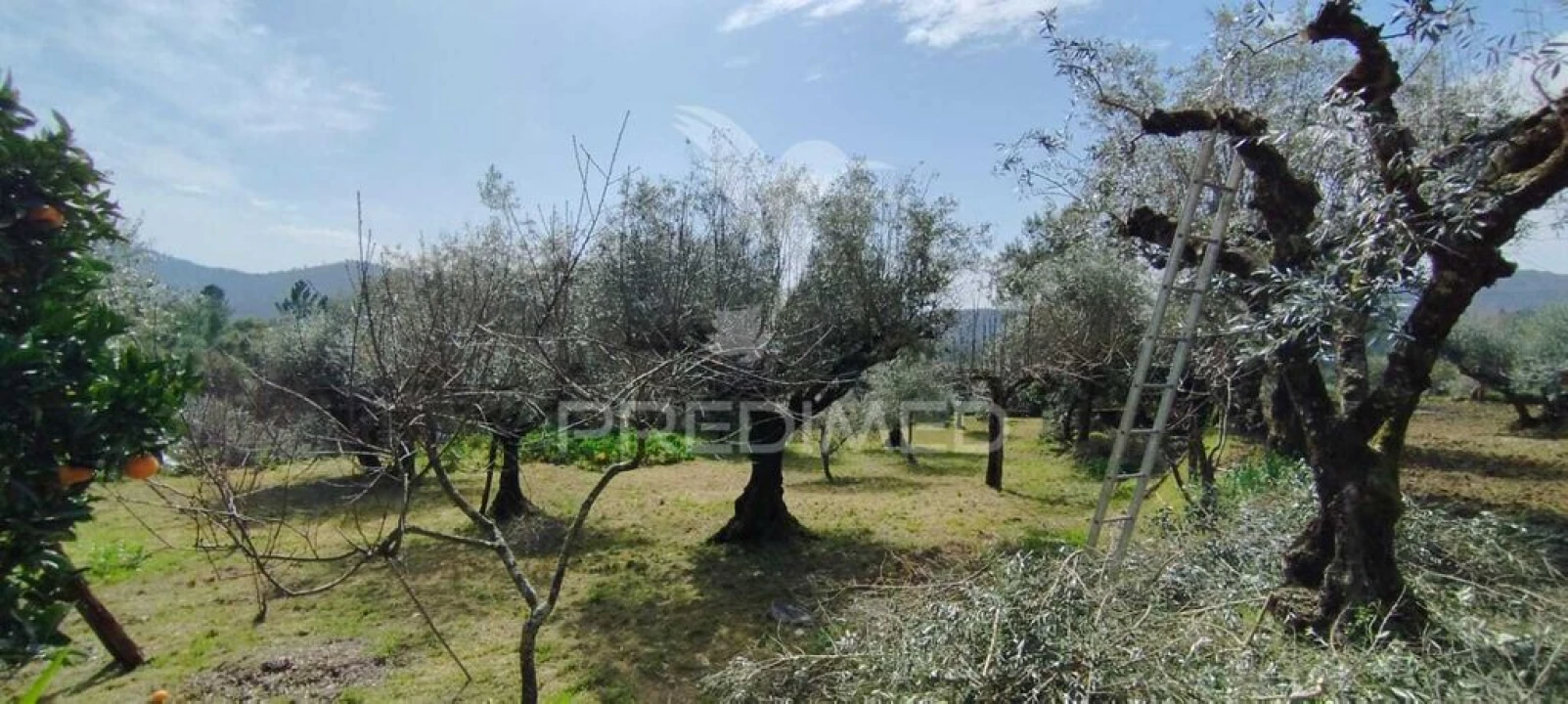Quinta T4 para Venda em São Salvador da Aramenha Foto 14