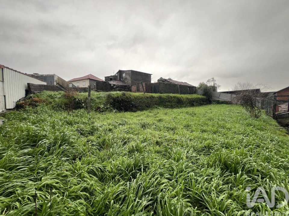 Moradia para Venda em Campo e Sobrado Foto 1